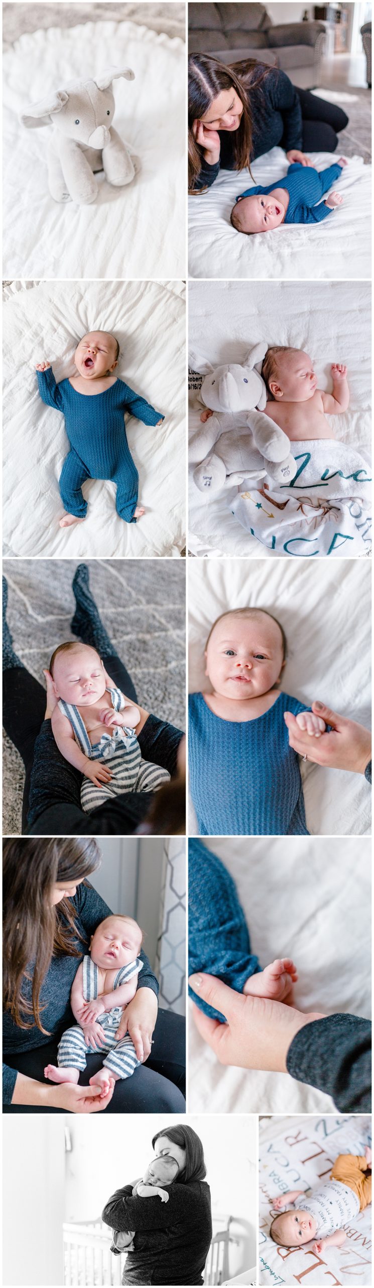 Baby portrait collage Vermont